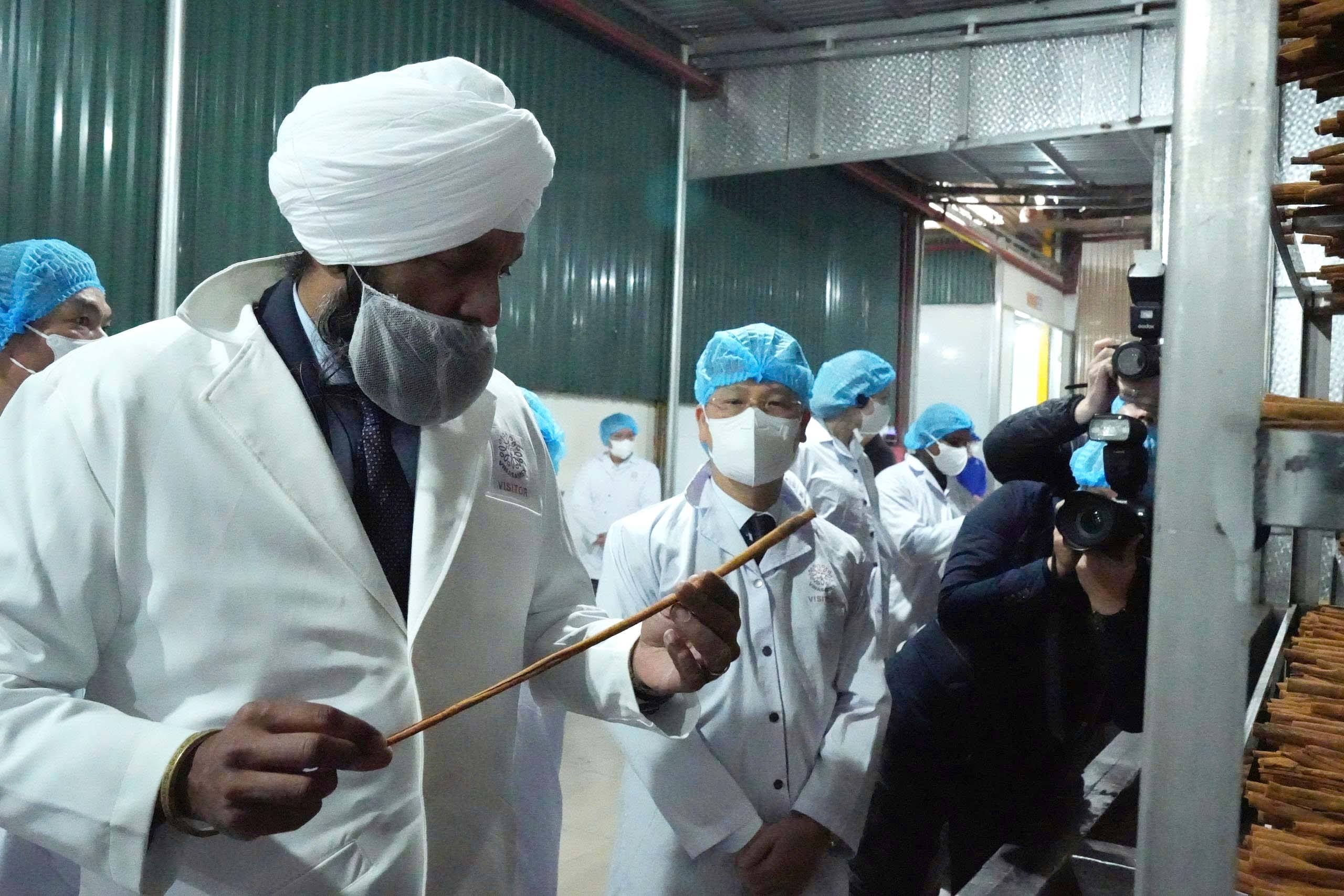 Từ rừng quế Trấn Yên đến mô hình phát triển bền vững được Canada quan tâm 5 1fbce673 299c 40e7 ba42 d7691a01e039