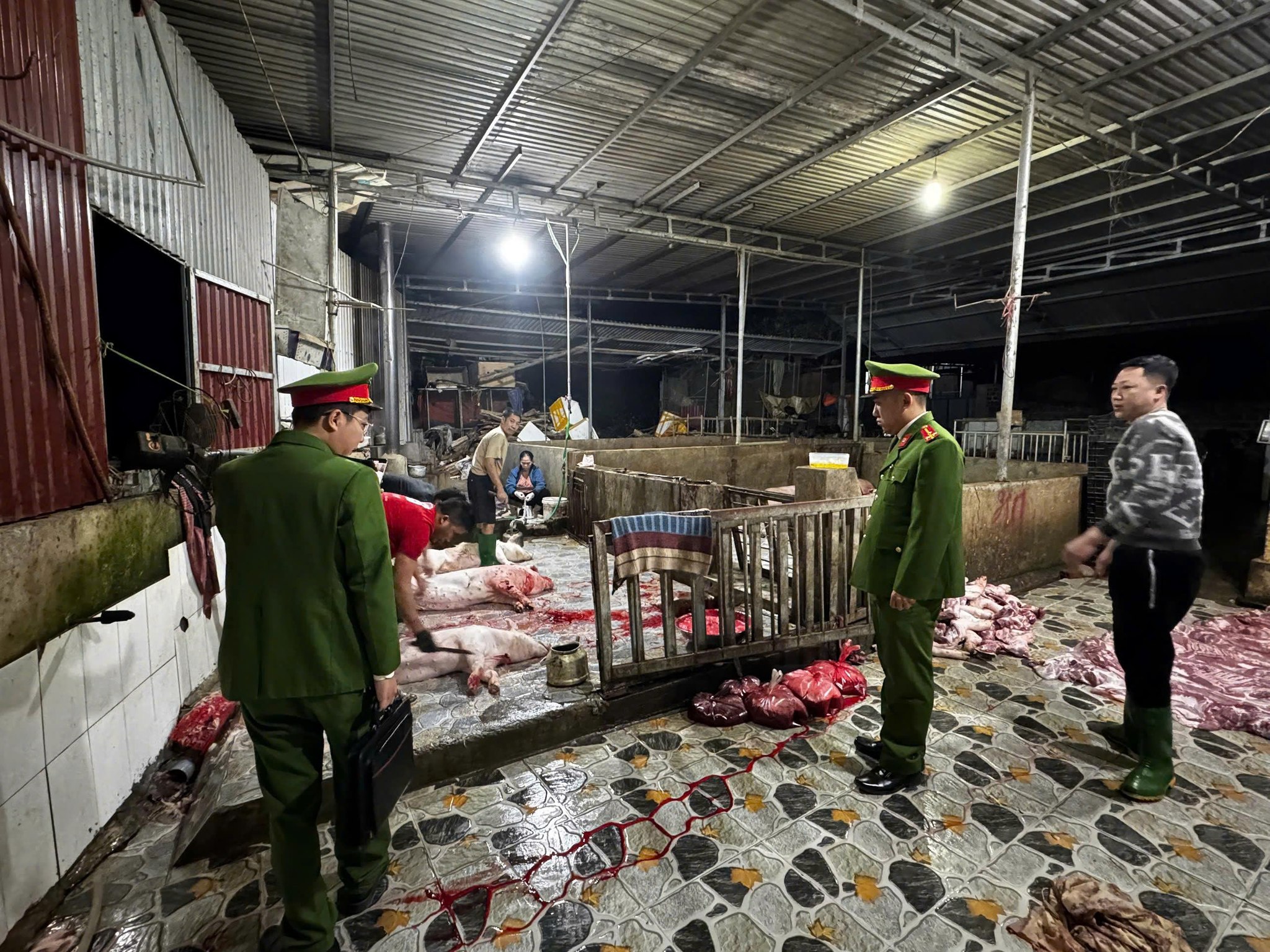 611254181 825587110509968 3689197027903235613 n