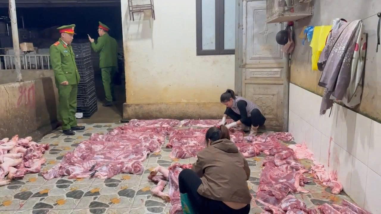 611709325 825586977176648 8042331107218801280 n