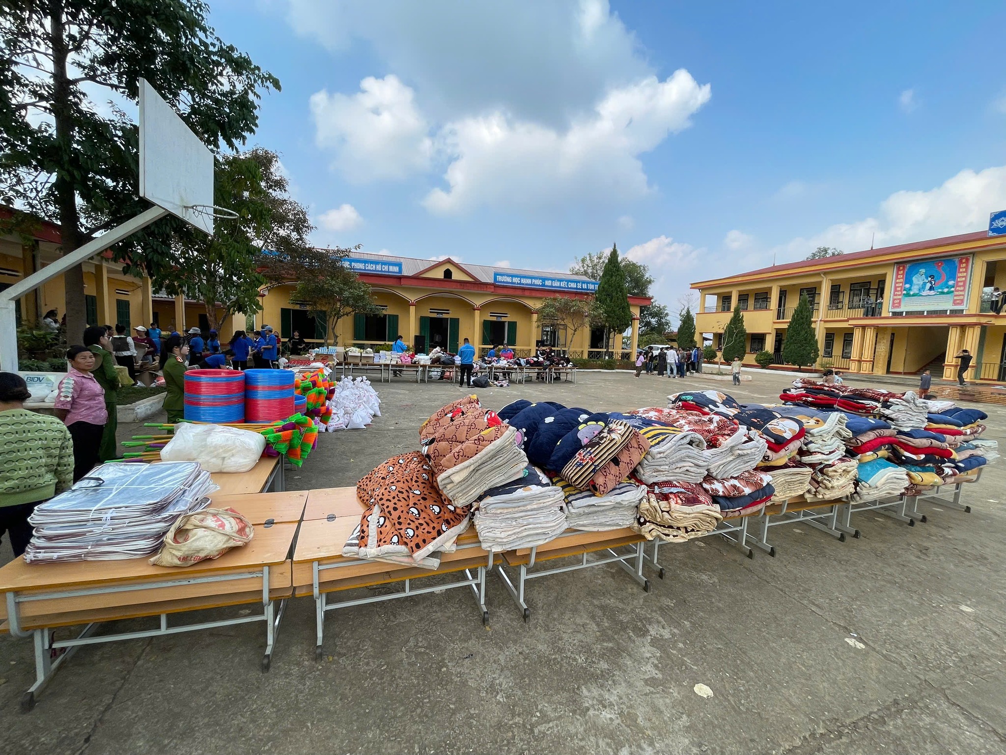 617181776 laocaionline01