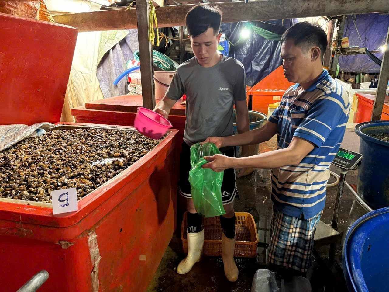 Hàng tấn thịt ốc bươu đã qua sơ chế, toàn bộ được ngâm trong dung dịch hóa chất Natri Silicate (thường gọi là “thủy tinh lỏng”). Ảnh: Công an cung cấp