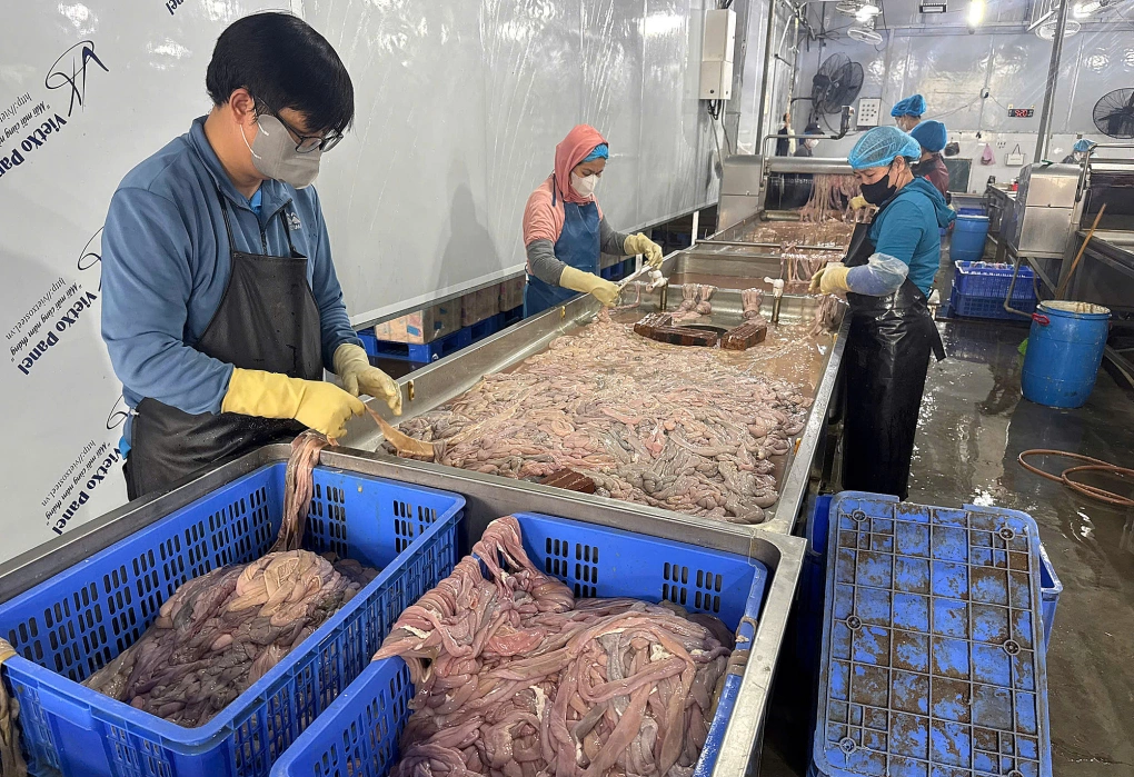 Hon 60 tan long lon cap dong nua nam boc mui sap tuon ra thi truong