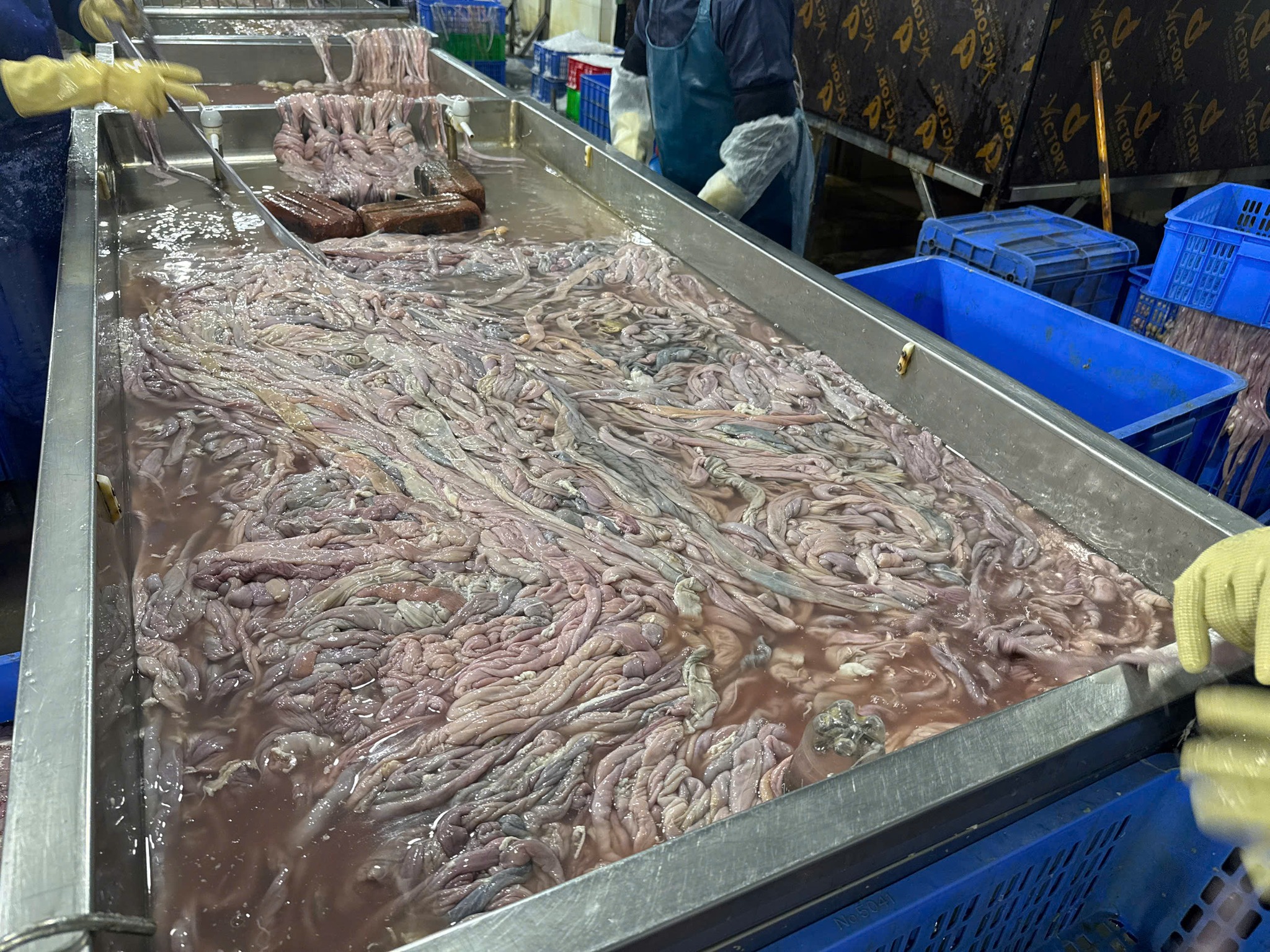 Nhieu doan long da chuyen mau