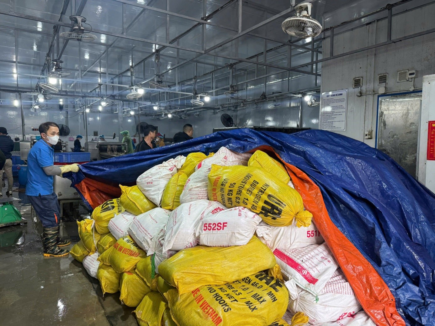 So thuc pham dong lanh chuan bi dua vao khu vuc so che