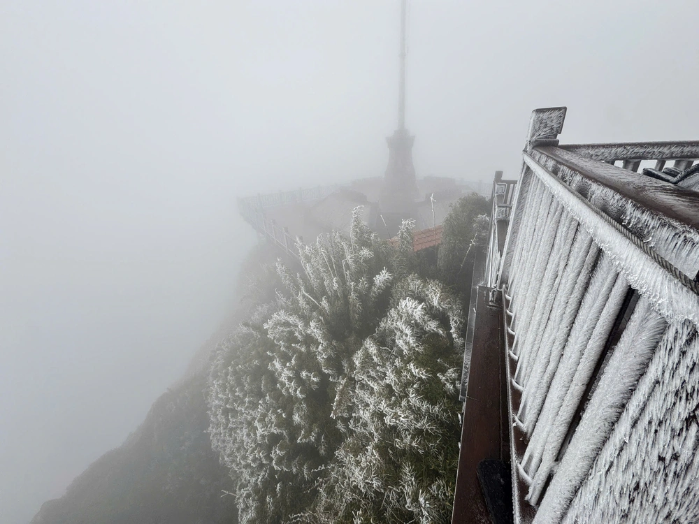 h6 17677480412521213497242