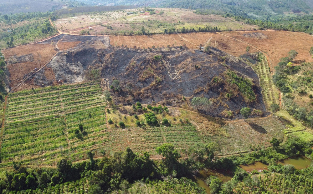 Lào Cai phạt doanh nghiệp chuyển hơn 1.000m² đất rừng trái phép 1 Ảnh minh hoạ