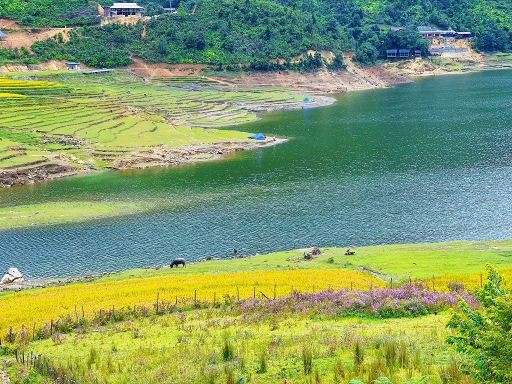 thoi diem ly tuong di ho seo my ty