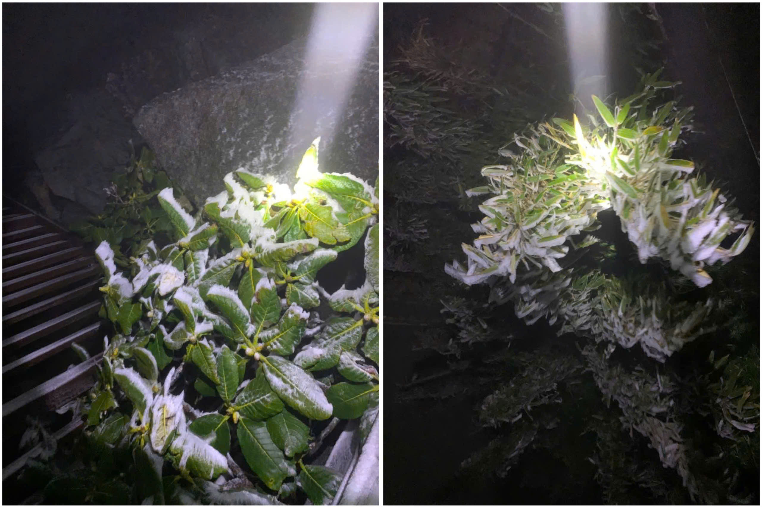 z7405532036866 509d8c53561f48b5a58a132ee100b8e3