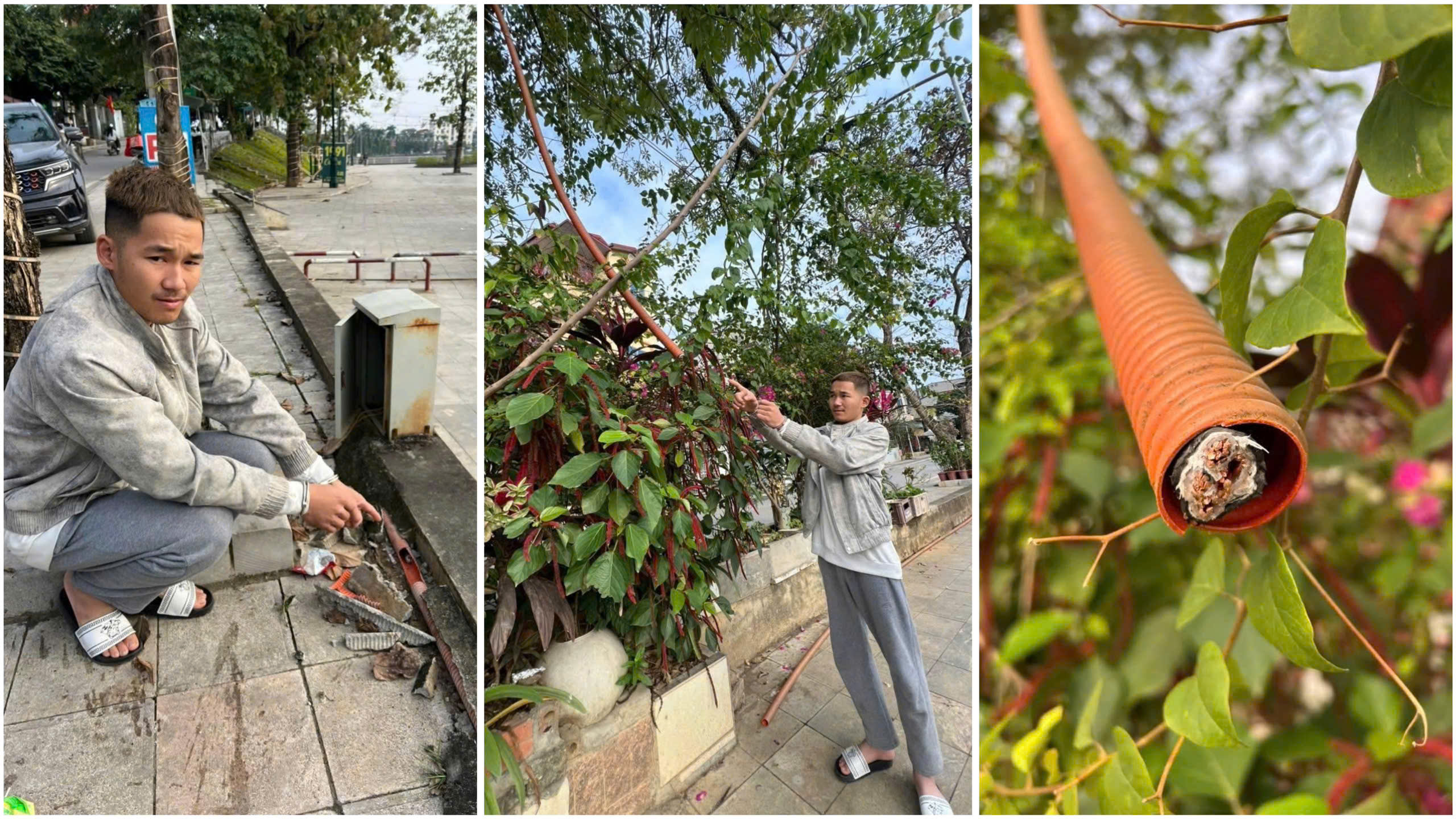 z7415893587841 34b67a892db2fd226d4fb320a60f59cf