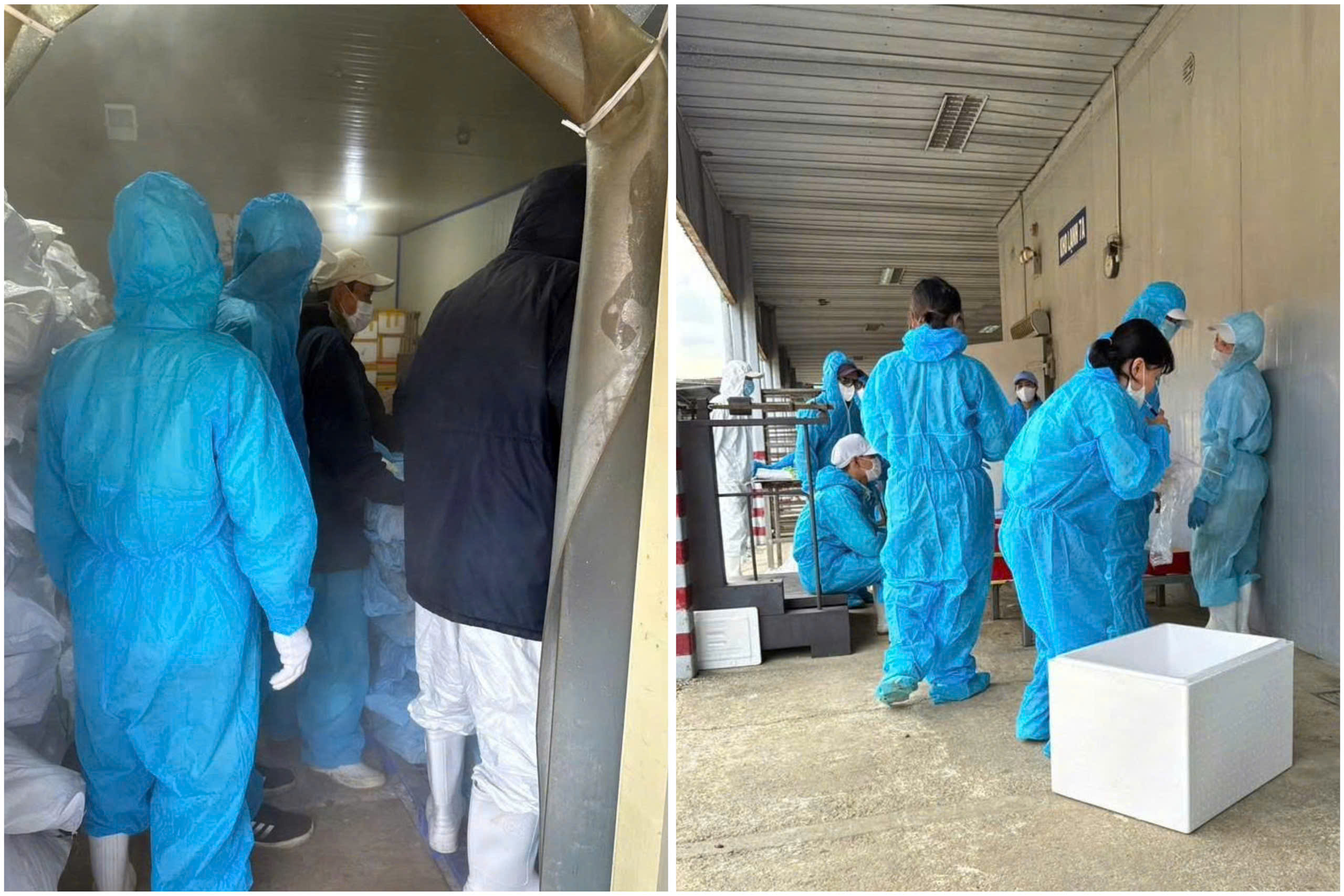 Tiêu hủy gần 14.000 hộp patê Cột Đèn Hải Phòng làm từ thịt nhiễm dịch 3 z7416471981668 82efbd4ea3a32a7aedfd80de6f9a0adb