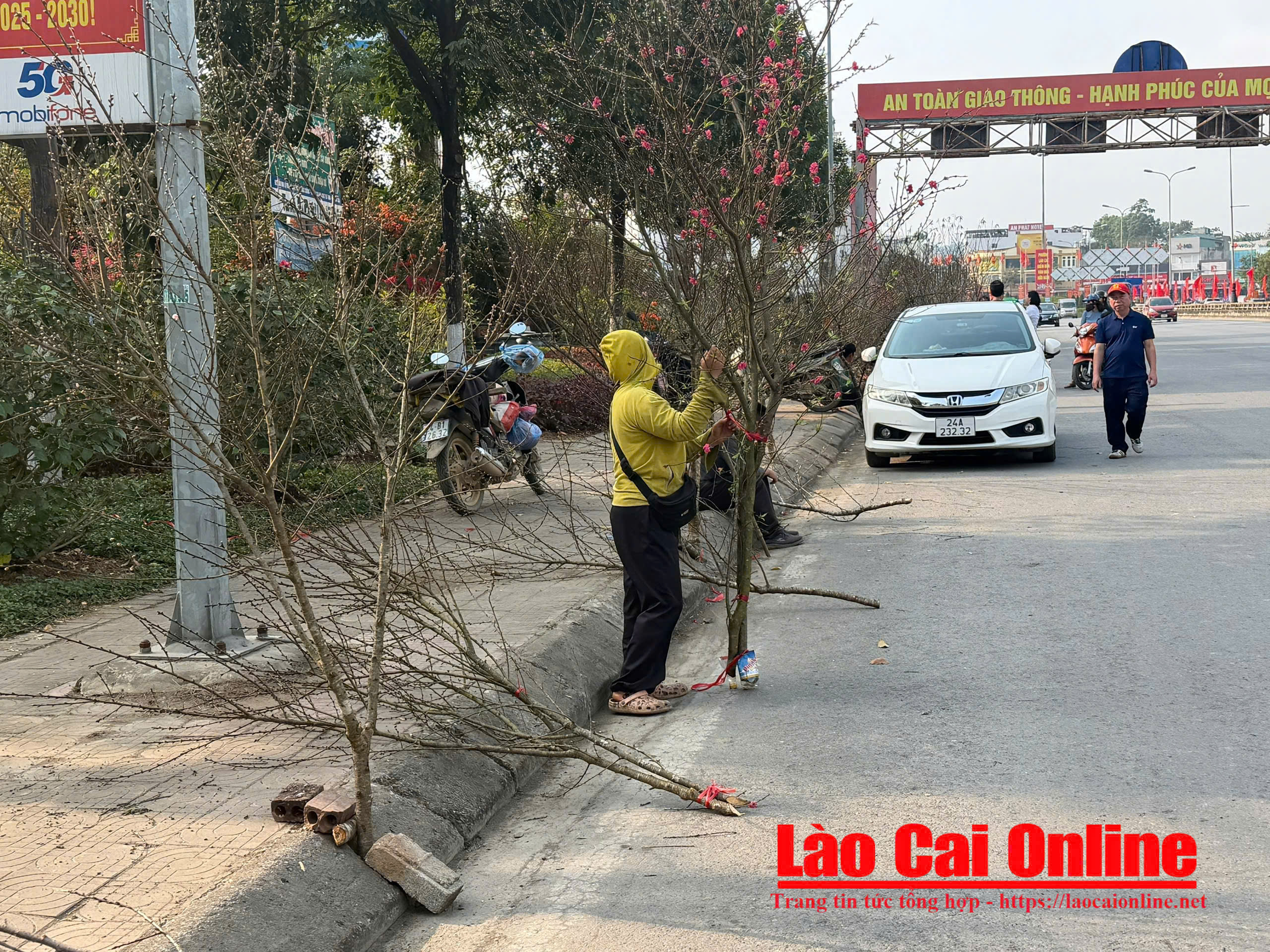 7761043a c1ed 4981 ba02 8a9a3ed37cadgfgf887 26685