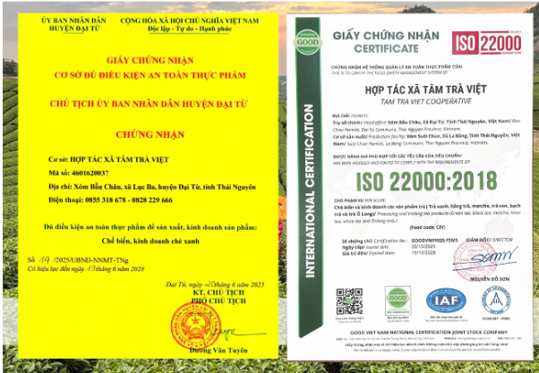 Xuân Trà Thịnh Vượng – Ưu Đãi Quà Tết Dành Cho Doanh Nghiệp của HTX Tâm Trà Việt 8 Anh chup man hinh 2026 02 01 164253