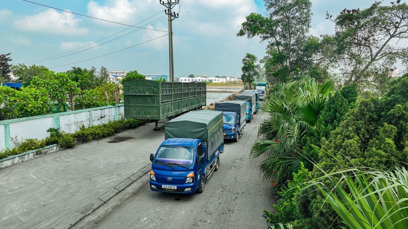 Doan xe cho hon 5 tan gia do dua di tieu huy tai Cong ty CP Moi truong xanh Minh Phuc xa Ke Sat thanh pho Hai Phong