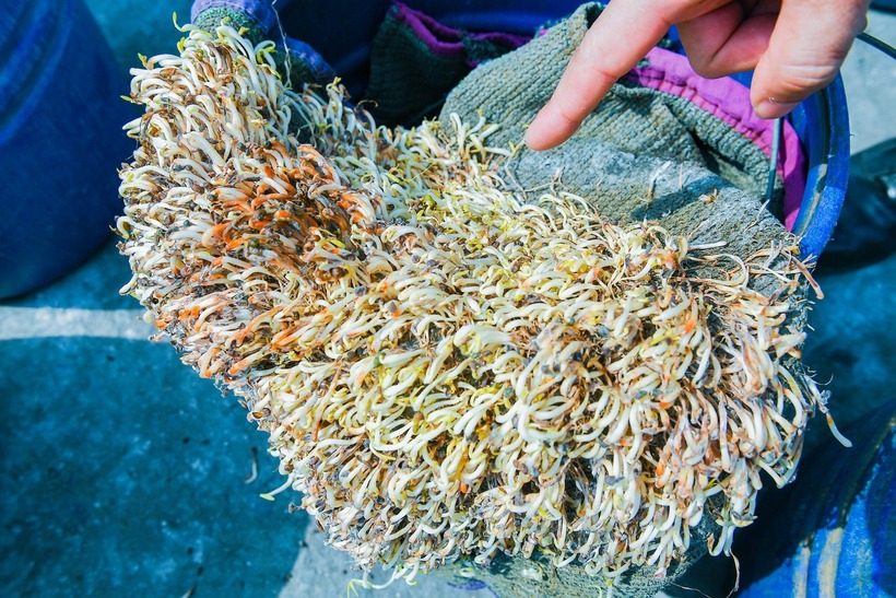 Sau 1 thang ke tu khi phat hien vu viec