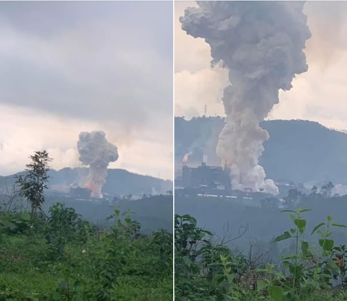 phot pho tang long151166664666464 fgdf988