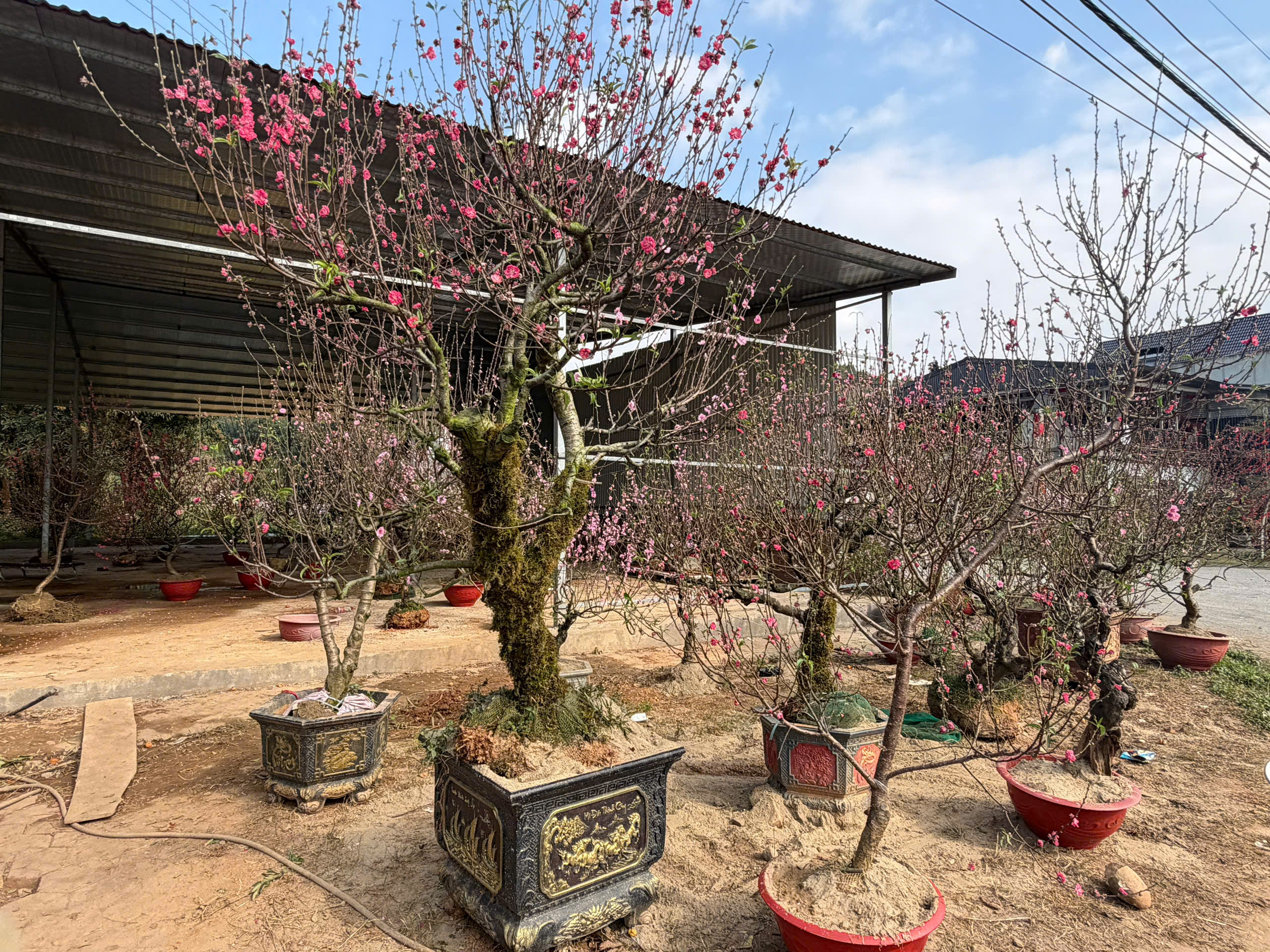 z7534073994413 dba755221475c7deb49f5e99de3d5a31