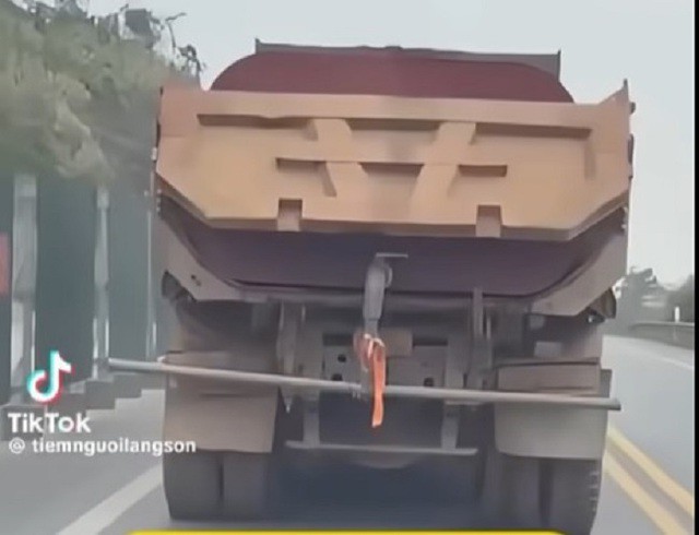 1773930005 chim moi 53926 width640height490