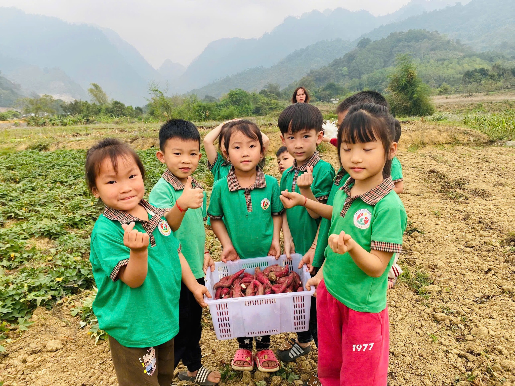 650940654 797295233413979 1191211791194081063 n