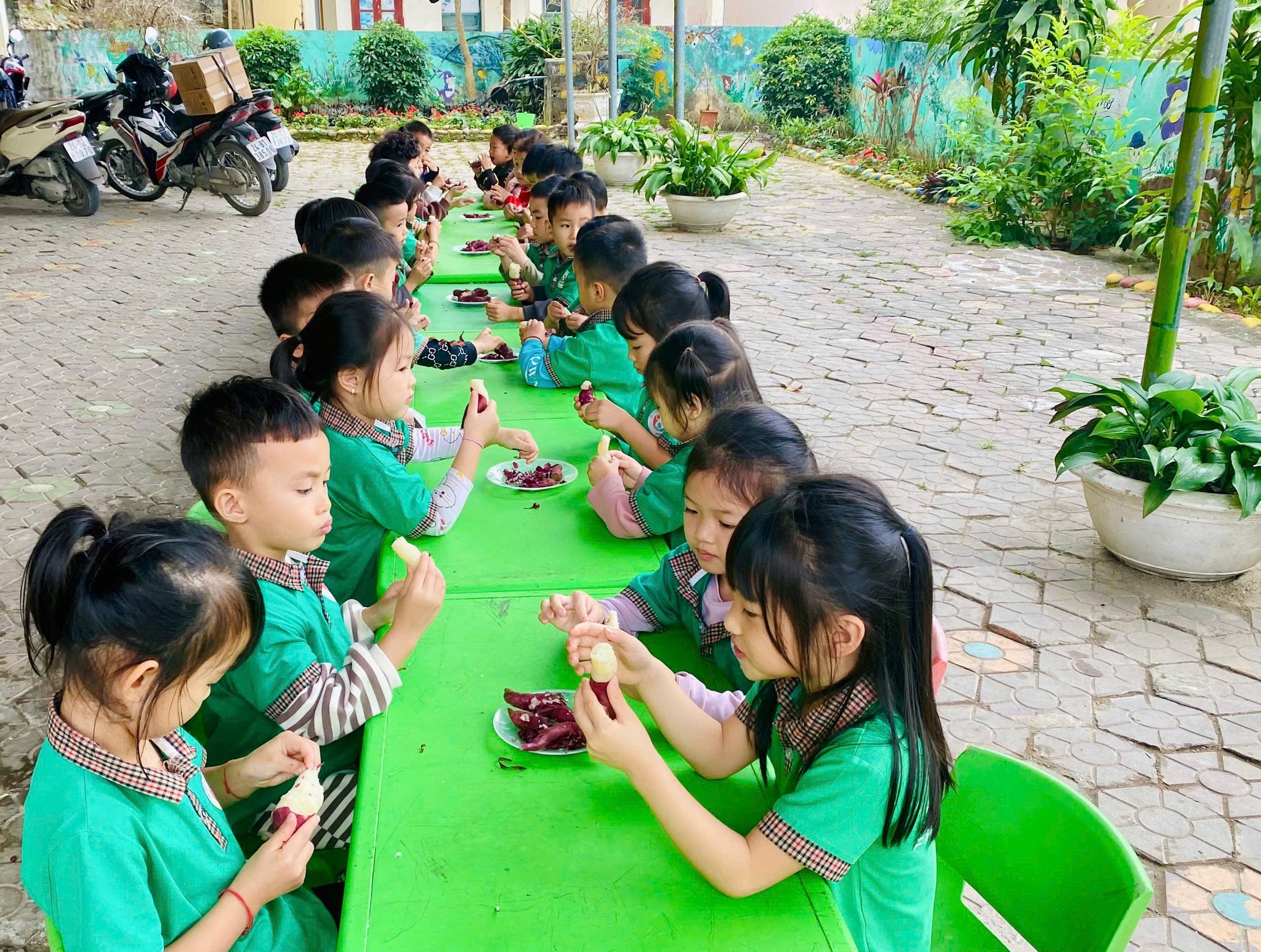 Các bé quây quần bên nhau thưởng thức những củ khoai nóng hổi – thành quả lao động do chính mình thu hoạch. Ảnh sở GD&ĐT Lào Cai