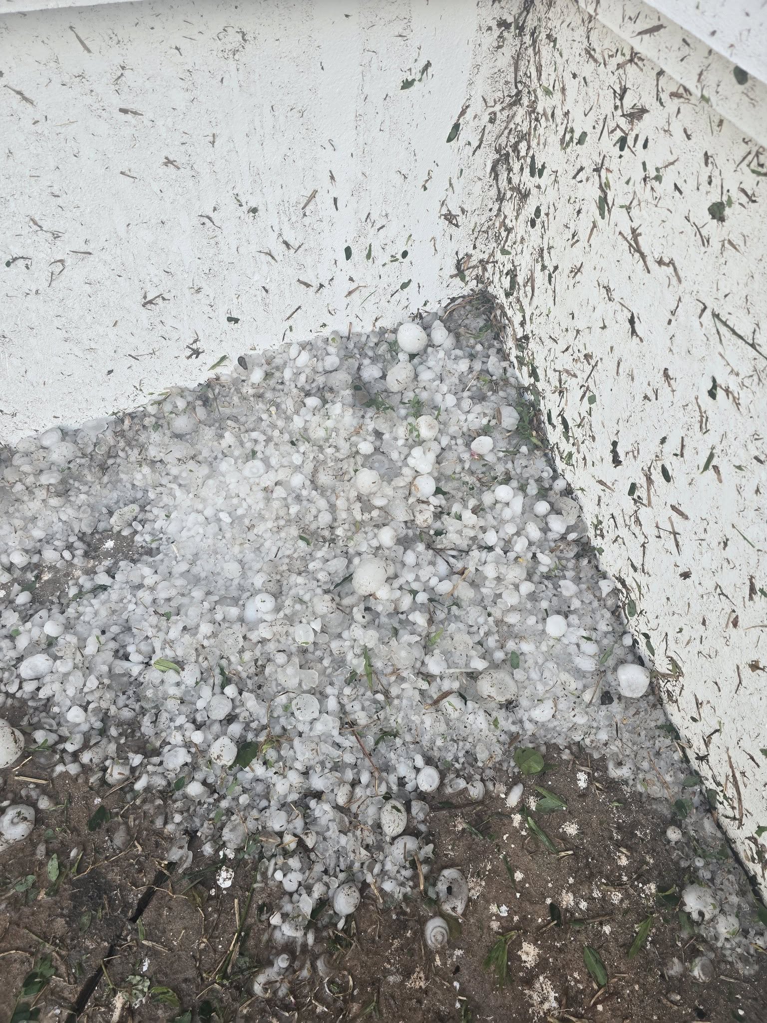 Mưa Đá Bất Ngờ Xuất Hiện Ở Hà Nội Và Nhiều Tỉnh Miền Bắc Rạng Sáng 30/3 3 Một số hình ảnh mưa đá sáng nay trên mạng xã hội