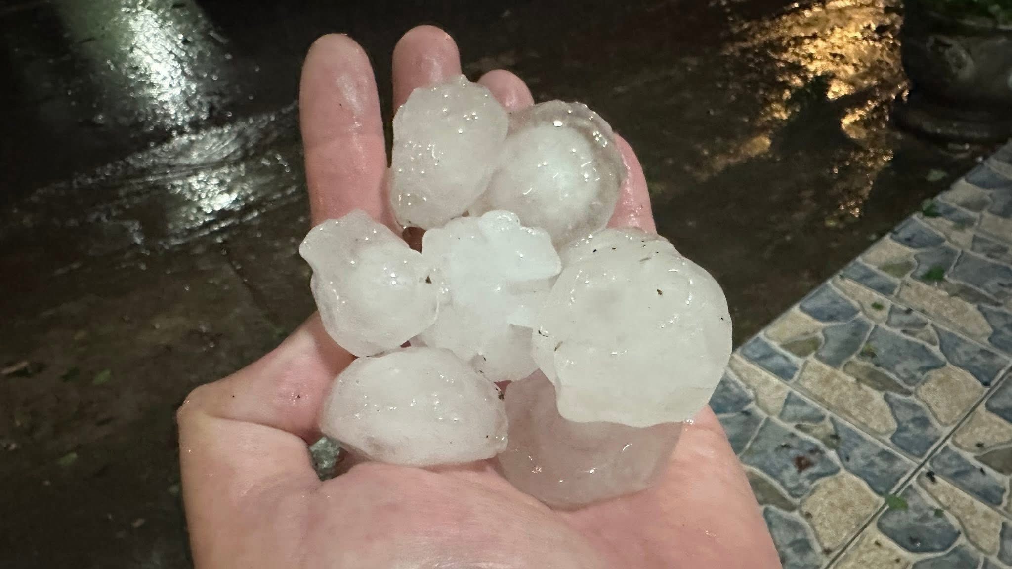 658195655 122219569100539461 3430004937170011328 n