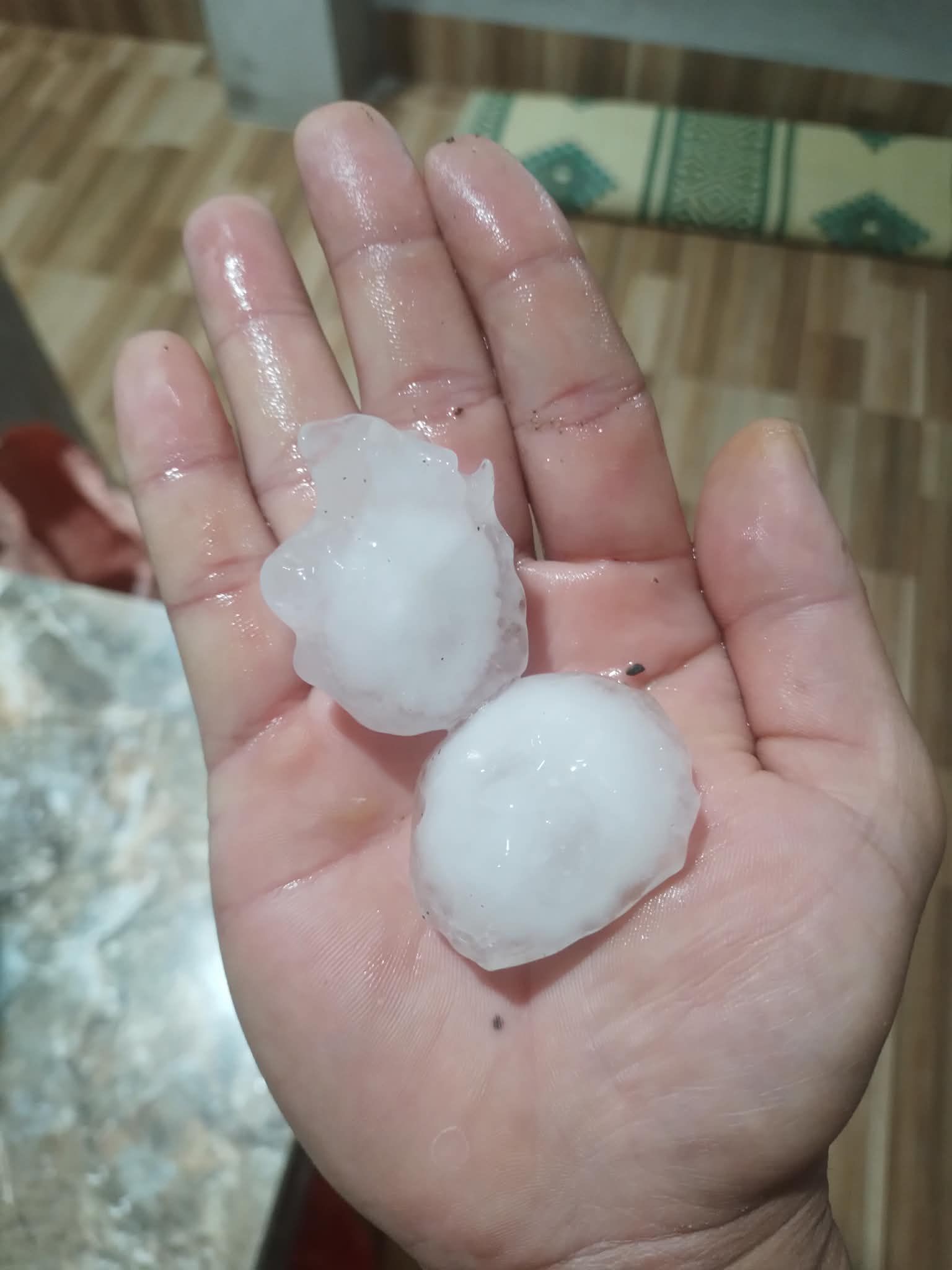 659212212 2423751454714524 1589005075286177830 n