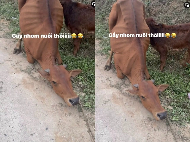 c22cd225c6b348ed11a2 1773392842372582632951