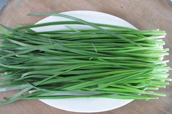 cay he chua nhieu benh nam khoa