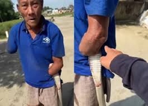 Người đàn ông cụt tay cắp con rắn về nhà. Ảnh cắt từ clip