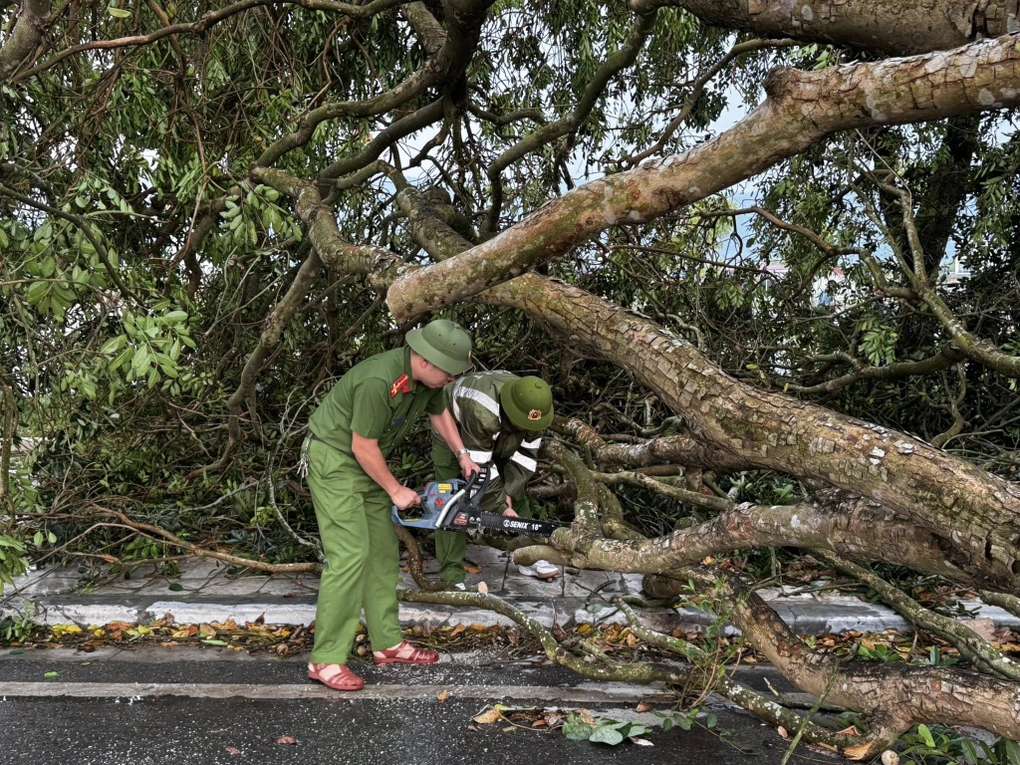 Mưa dông làm cây cổ thụ đổ trúng ôtô ở Lào Cai 2 Cảnh sát cưa, cắt các thân cây bị đổ (Ảnh: Công an phường Trung Tâm).