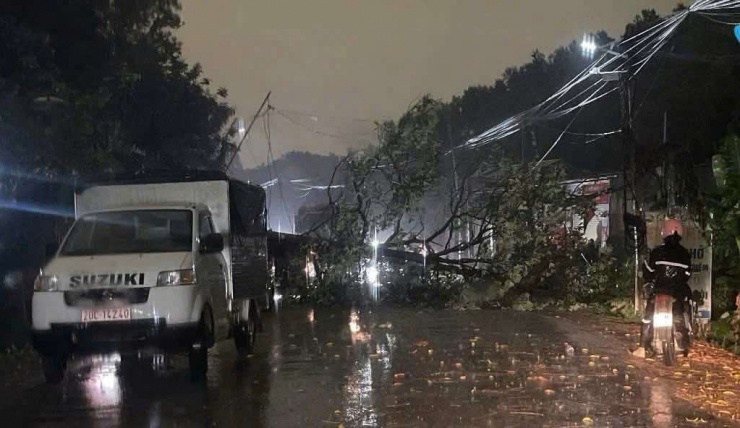 Hiện trường vụ cây đổ khiến người phụ nữ tử vong. Ảnh: B.T.N