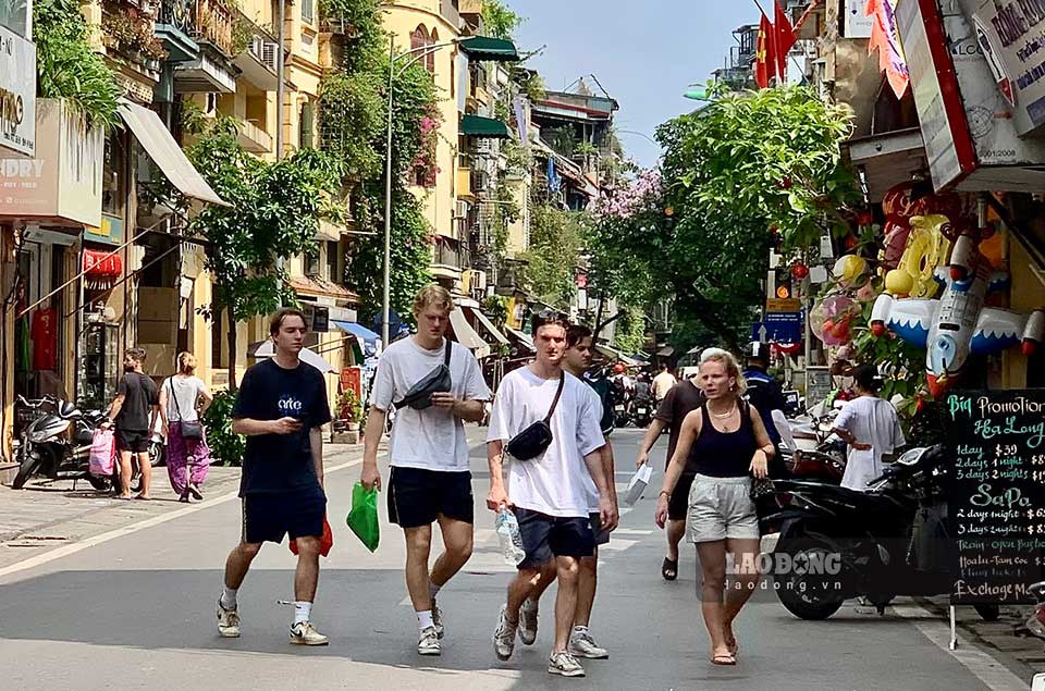 212111 1563 2465 hhghg 985 dulich 278