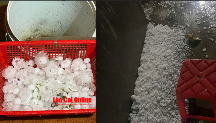 Mưa đá bất ngờ rạng sáng, người trồng mận Bắc Hà lao đao vì quả rụng hàng loạt 1 Mưa lớn kèm mưa đá với mật độ dày bất ngờ trút xuống thị trấn Bắc Hà (Lào Cai), khiến nhiều khu vực bị ảnh hưởng, hoa màu và cây trồng hư hại. Ảnh Du Kỷ