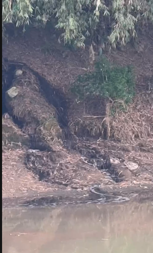 Dòng nước thải đen ngòm được xả xuống dòng sông