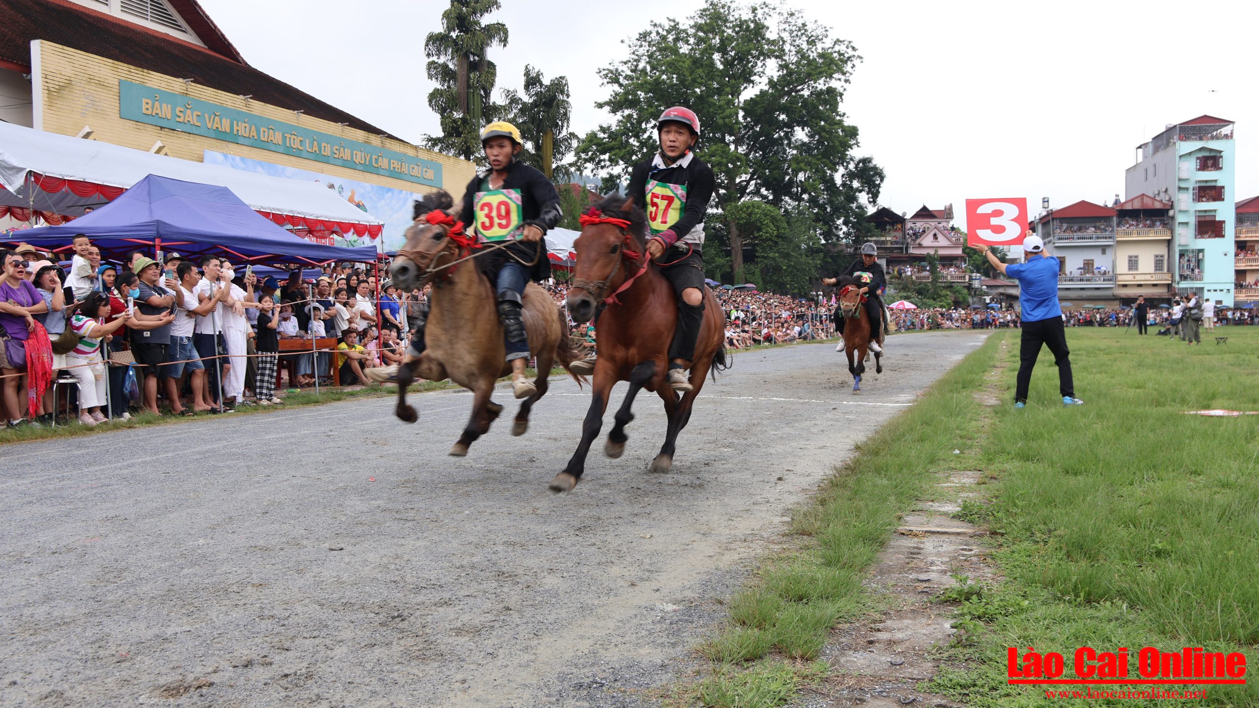 IMG 3192 scaledfdfdfd