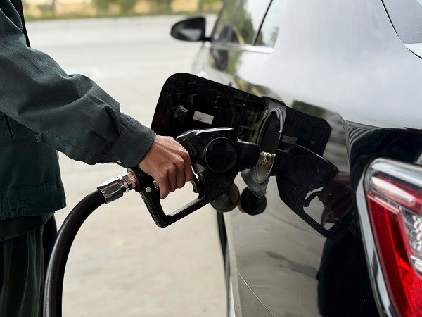 segrdhftrjhtfhgvhthgtgt