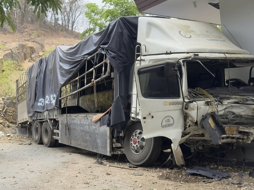 tainanlamdongtrannguyen1 1775618876255