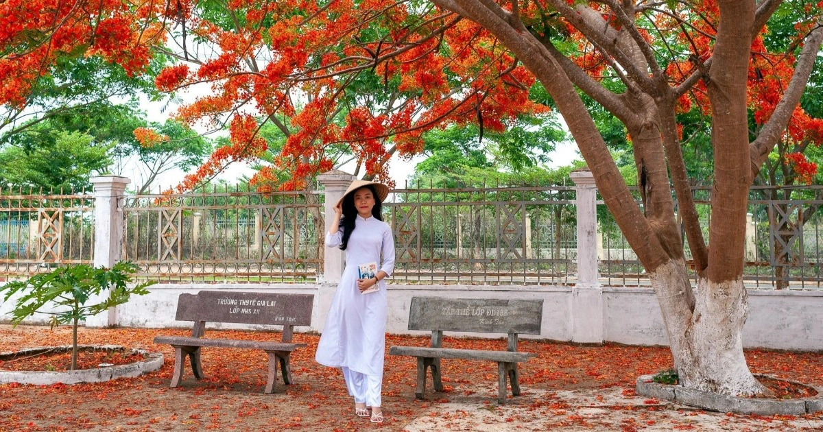 Hình ảnh hoa phượng gắn liền với mùa hè của học sinh