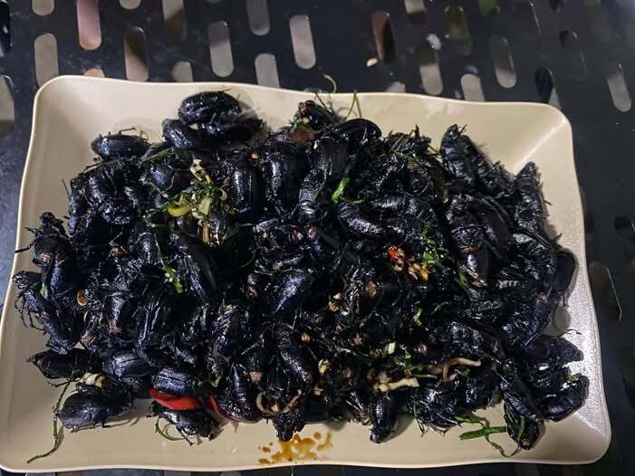 Món ăn sau khi được chế biến