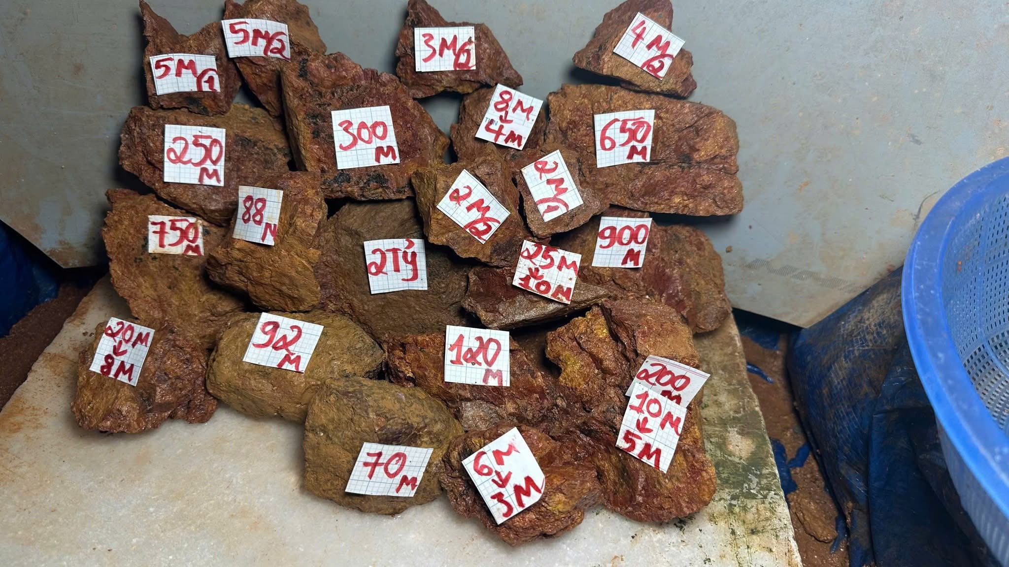 Tang vật vụ án. Ảnh: CACC.