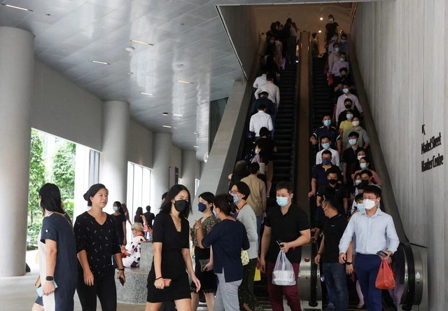 Singapore ghi nhận 12.700 ca Covid-19 chỉ trong một tuần 1 Cơ quan Phòng chống Bệnh truyền nhiễm của Singapore khuyên mọi người đeo khẩu trang khi có các triệu chứng Covid-19 Ảnh: Reuters