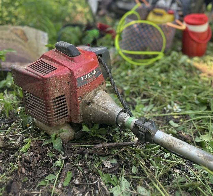 Máy Nông Nghiệp Đời Cũ Lo Ngại Khó Tương Thích Xăng E10, Nhu Cầu Tìm Mua Xăng E5 Gia Tăng 2 Nhiều nông dân cho biết một số máy nông nghiệp như máy cắt cỏ đời cũ gặp khó trong quá trình vận hành khi chuyển sang sử dụng xăng E10.