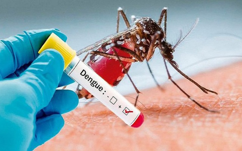 Dịch sốt xuất huyết gia tăng sớm, nhiều người chủ động tiêm vaccine phòng bệnh 1 Dịch Sốt Xuất Huyết gia tăng trở lại