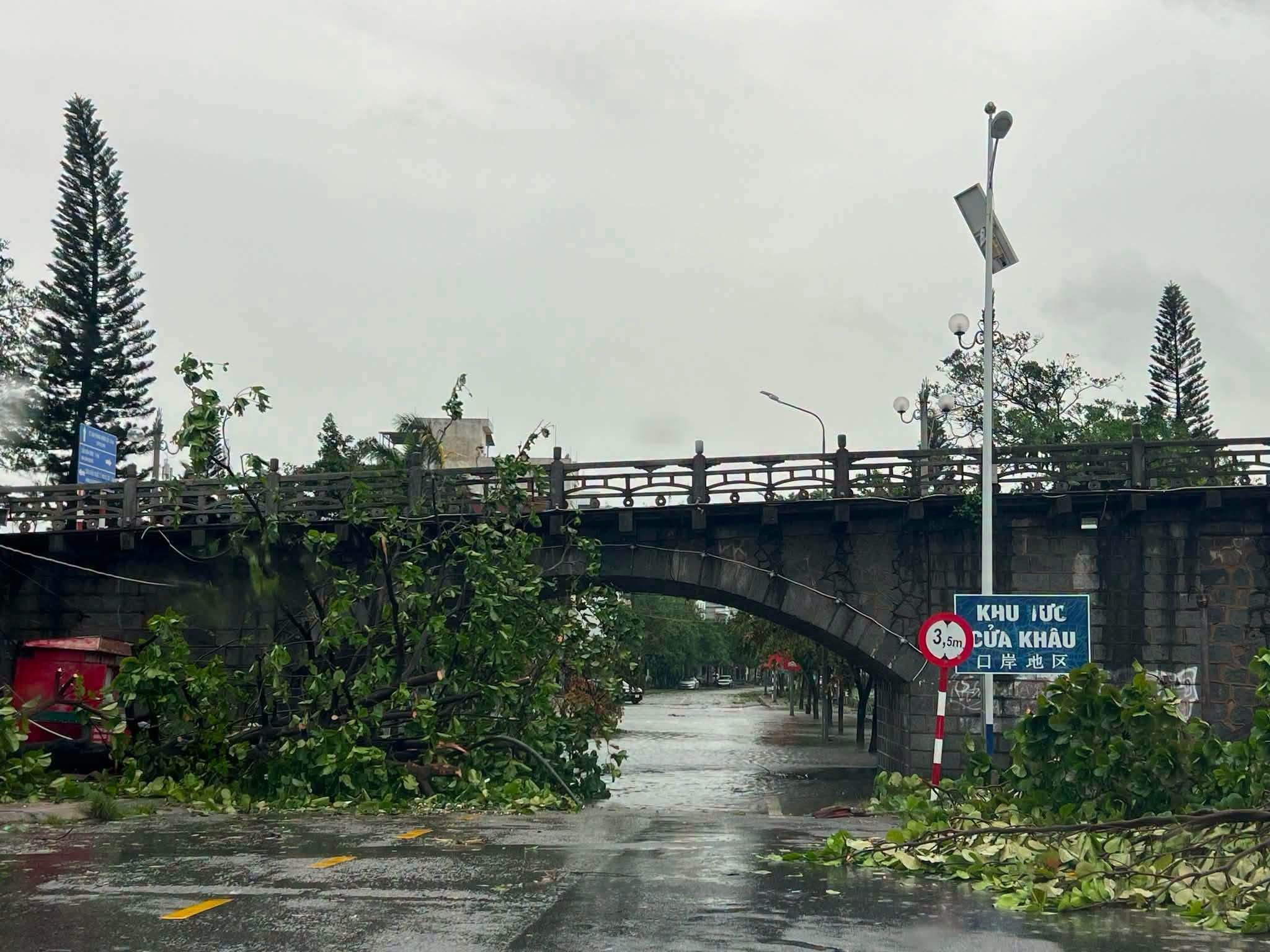 Bão số 1 gây mưa gió dữ dội, Quảng Ninh khẩn trương khắc phục hậu quả 2 740079793 2263475397795725 5019822912690435540 n