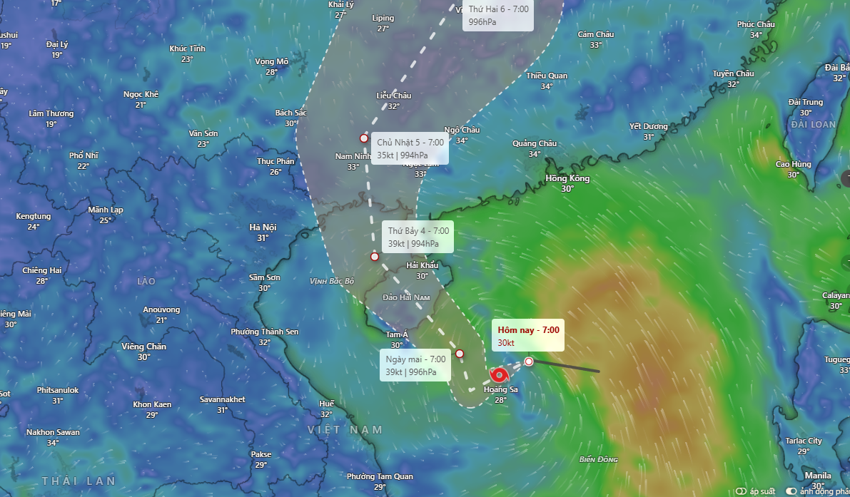 Dự báo quỹ đạo và cường độ áp thấp nhiệt đới lúc 8h ngày 2/7/2026 Nguồn: Windy